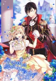 Cats Bride