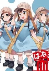 Platelets at Work
