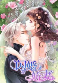 THE BEAUTIFUL WIFE OF THE WHIRLWIND MARRIAGE