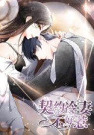 Don’t Provoke The Contract Wife
