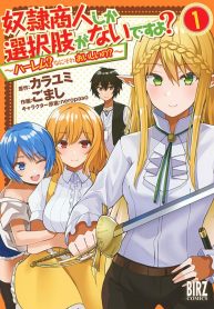 Dorei Shounin Shika Sentakushi Ga Nai Desu Yo ~Harem Nani Sore Oishii No~