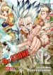 Dr. Stone