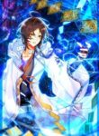 The Apostle Of Cards