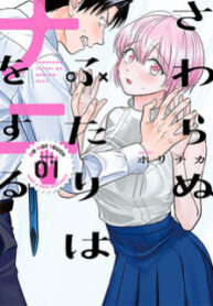 Sawaranu Futari Wa Nani Wo Suru