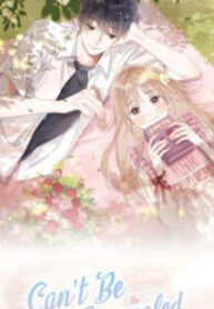 Hidden Love: Can