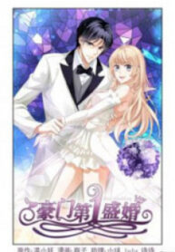 A Tycoon’S Grandiose Wedding