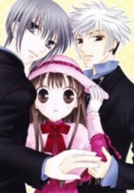 Fruits Basket