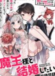 Maou-Sama To Kekkonshitai (Serialization)