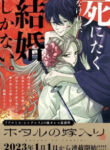 Hotaru No Yomeiri