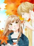 Omoi, Omoware, Furi, Furare