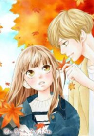 Omoi, Omoware, Furi, Furare